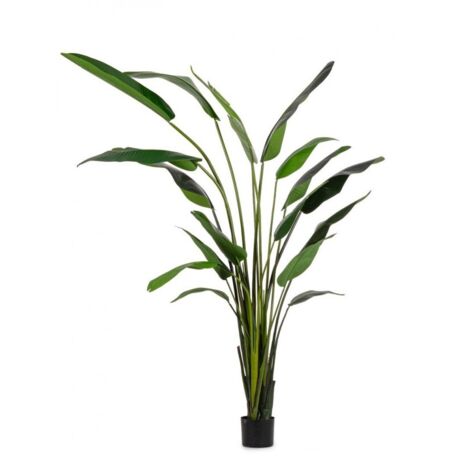 BIZZOTTO PIANTA ARTIFICIALE DA INTERNO STRELITZIA CON VASO 18 FOGLIE H310 CM