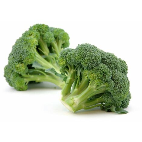 Semi di Cavolo Broccolo Ramoso Calabrese Natalino piante per orto e giardino