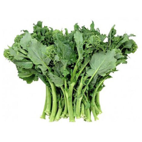 Semi di cima di rapa "Quarantina cima grossa" piante per orto e giardino