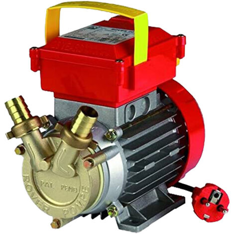 Rover Elettropompa Autoaspirante per Vino Latte Olio Bisquet in Acciaio Hp 0,6 BE-M25 (1/5)