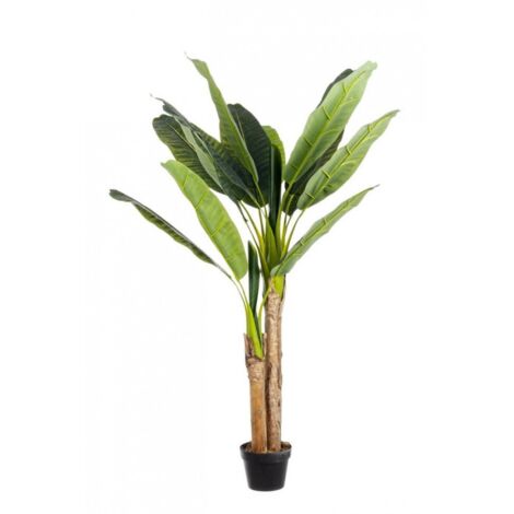 Set 2 Piante con Vaso Plastica Verde da Interno H135 cm - ZENITALE