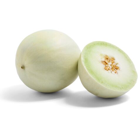 Semi di melone "Honey Dew" piante per orto e giardino coltivazione domestica e professionale (1/2)