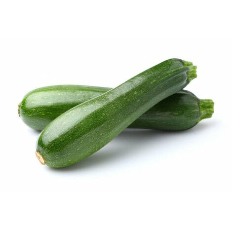 Semi di zucchino "Storr's green hybrid" piante per orto e giardino coltivazione domestica e professionale