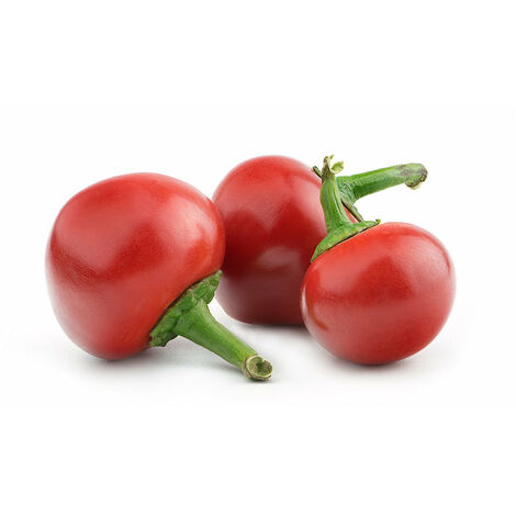 Semi di peperone "Ciliegia piccante " piante per orto e giardino coltivazione domestica e professionale (1/2)