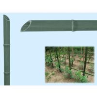 CANNA BAMBOO- - mm.22/24 h.210 - 50 pezzi T-REX