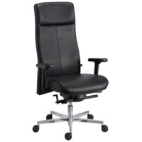 Fauteuil de bureau Sitness Director 900