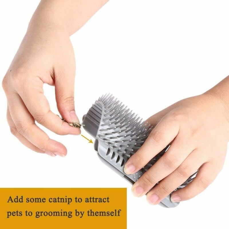 Brosse à poils de chat avec eau, brosse collante 2.0 pour chats, peigne  épilatoire avec réservoir d'eau, humide