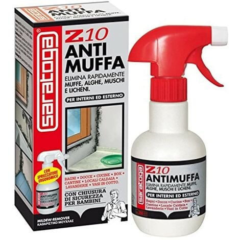 Bioactive spray antimuffa 
