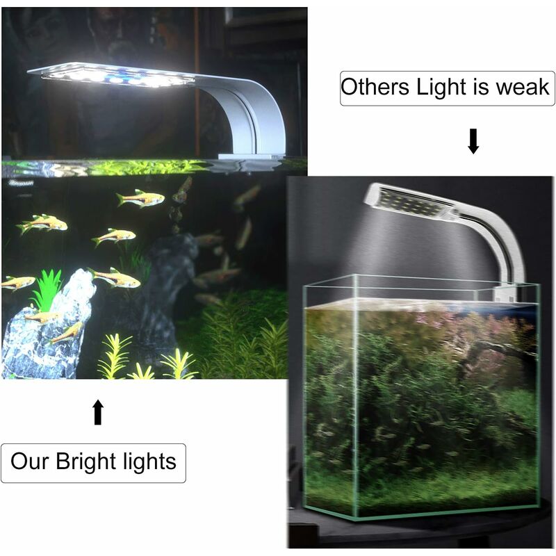 Éclairage Aquarium LED 5W Clipsable Lampe Plante d'eau Douce ou  Mer,Triomphe Aquarium Luminaires D
