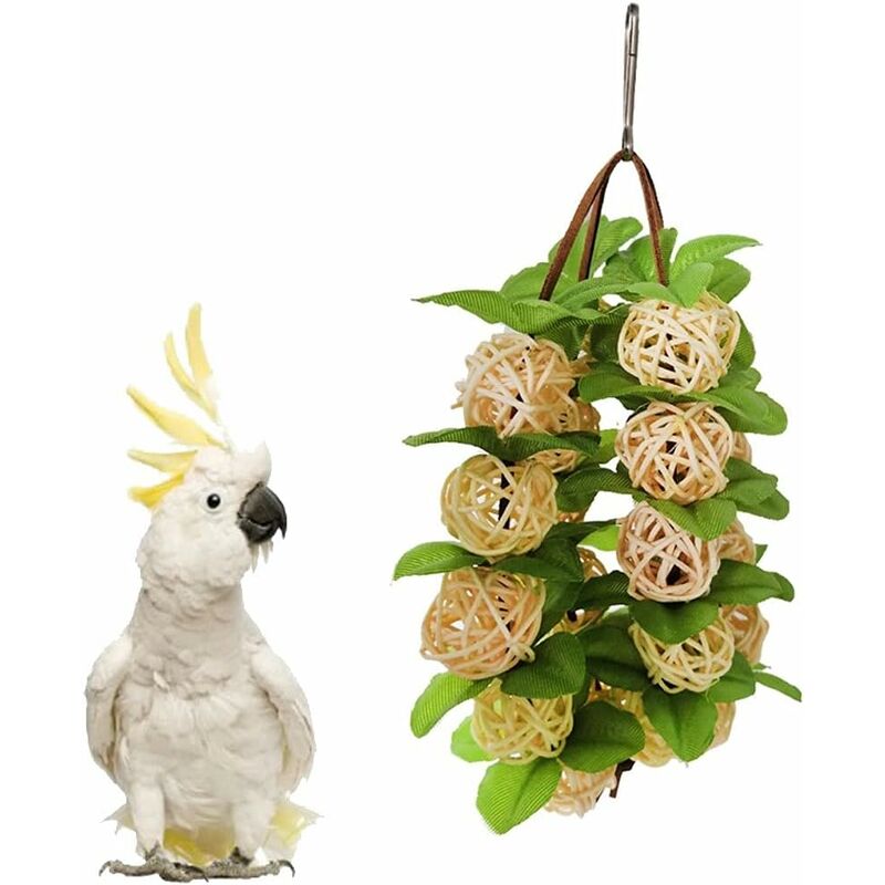 Mangeoire à oiseaux rotative pour perroquets, jouets pour la recherche de  nourriture - AliExpress