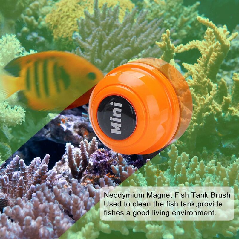 Mini brosse magnétique pour aquarium - Nettoyeur d'aquarium - Nettoyeur de  verre - Mini aimant portable durable - Nettoyage pour aquarium et  élimination des algues (orange),ladacèe
