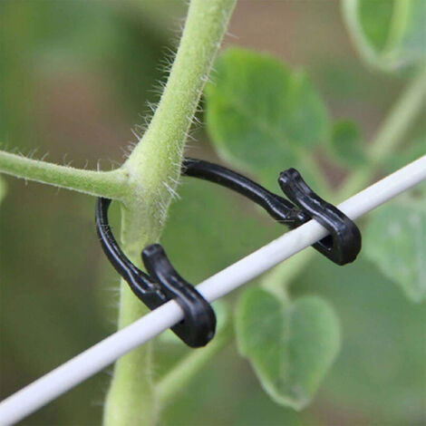 Attache De Jardin à Fermeture éclair, Ensemble D'attaches De Vigne