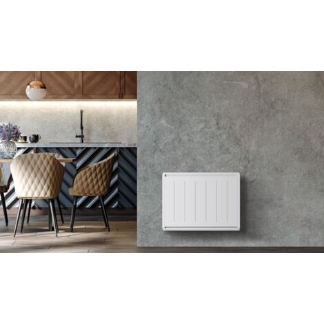 Radiateur Inertie Double Coeur