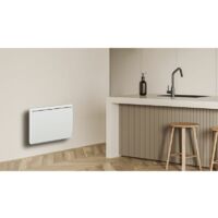 Carrera radiateur a inertie Fonte 1000W - Horizontal et bombe