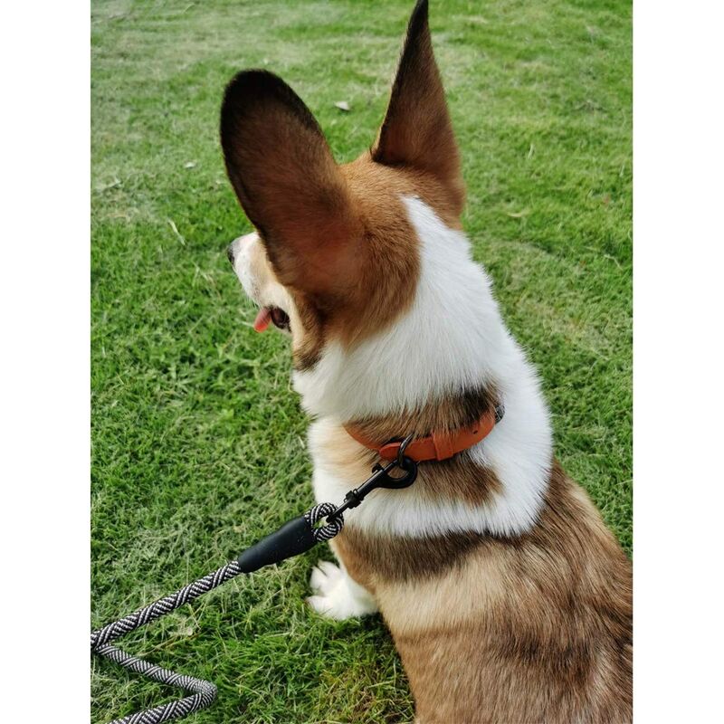 XQQX Guinzaglio per Cani   Canottiera di Sostegno di Sollevamento degli Animali Domestici di Nylon Regolabile del Cablaggio DellEquilibrio DellAnimale Domestico per 