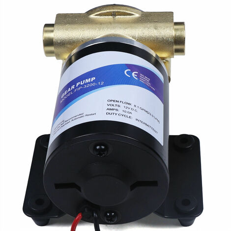 Selbstansaugende Pumpe Wasserpumpe 12V