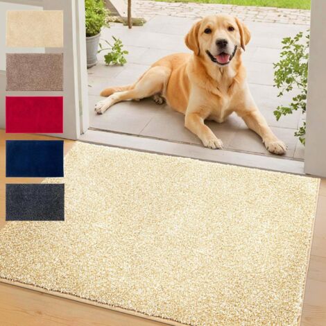 Tapis d'entrée absorbant Nasa Beige 50 x 80 cm
