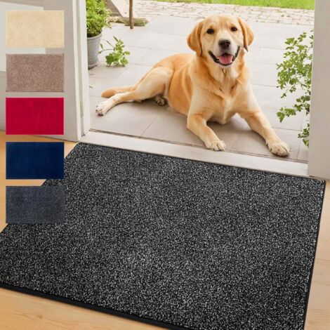 Tapis d'entrée absorbant Nasa Anthracite 60 x 90 cm