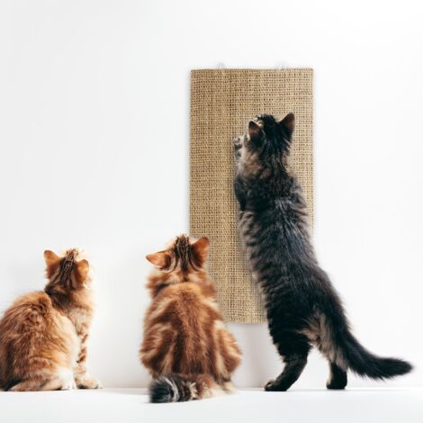 Griffoir pour chats Sisal Soin des griffes pour animaux 28 x 80 cm (1/5)
