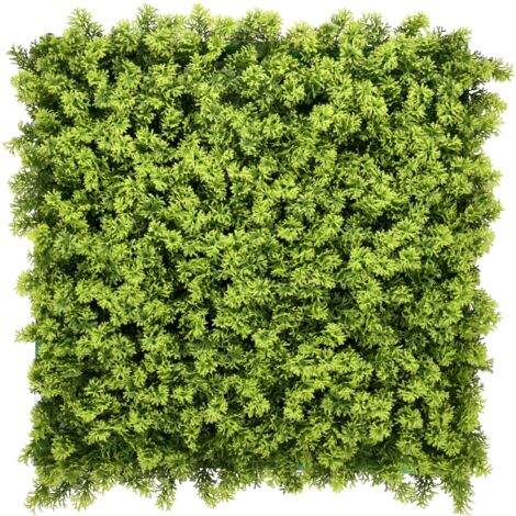 Mur Végétal Artificiel Intérieur  Haie Artificielle  Panneaux Muraux  Toile de Fond   Houttuynia cordata, 50 x 50 cm