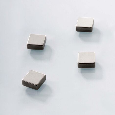 Mini-Magnets Neodym-Power - 4 Pièces & 5 Formes Aimant de blocs 10 x 10 x 4 mm, 4 pièces (1/4)