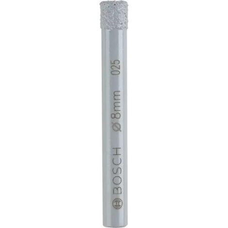 Bosch Expert for Ceramic Punta diamantata per foratura - 10x66 mm