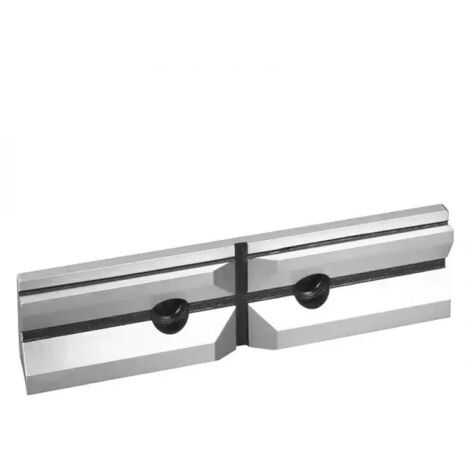 Fervi M028/100GP Ganasce prismatiche di ricambio 100x24,5 mm