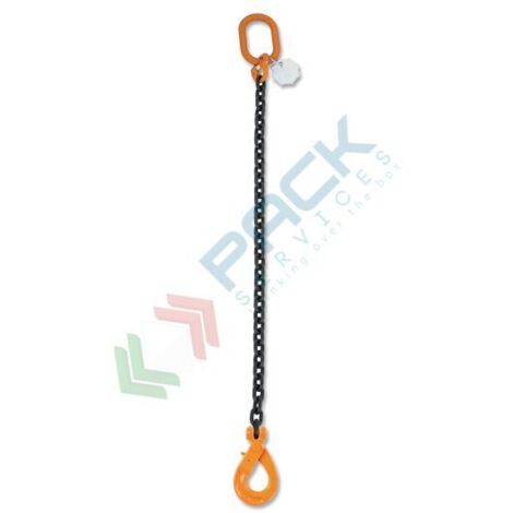 Robur 8091SL D10 Pendente sollevamento con gancio Self-Locking 1 braccio 3,15 T - 2 m (1/2)