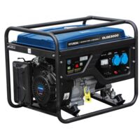 Hyundai 65132 Generatore di corrente Monofase AVR a benzina 2,5 Kw