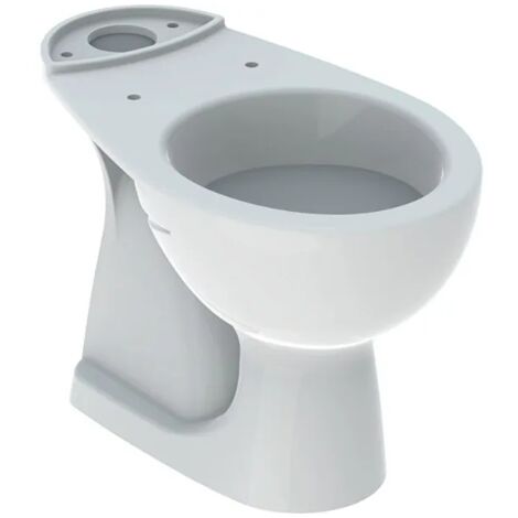 Vaso a pavimento 36x62.5 monoblocco bianco lucido - Geberit Colibrì - Senza copri wc