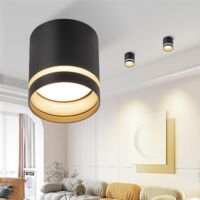 ZMH Spot en saillie LED Spot en saillie Rond - Spot de Plafond Noir Petit Spot de Plafond en Acrylique GX53 avec Spot Plat 5W Plafonnier pour Couloir, Salon, Chambre