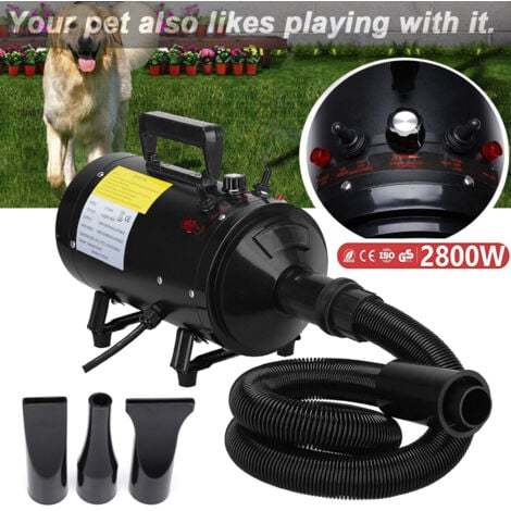Sèche-cheveux Pour Animaux De Compagnie - Noir - Courbes Concaves Et