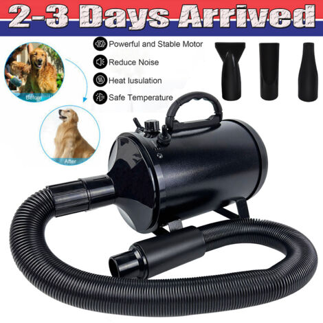 Dayplus – Séchoir pulseur 2000W – Vitesse 50-100m/s – Température 35-65°C – Pour moto, vélo, voiture et animaux domestiques