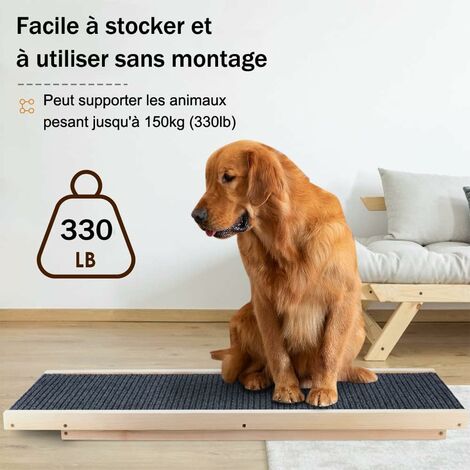 Rampe pour chiens Rampe d'accès pour chiens 120cm Animaux