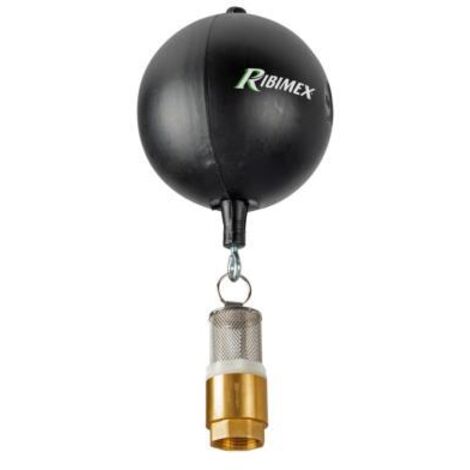 Ribimex – Crépine d'aspiration en laiton 1 pouce – Filtre métal pour pompe – Clapet anti-retour – Évite obstruction par sédiments