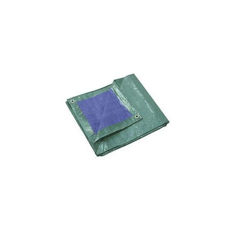 Bâche multi-usage 6x10 m 140 g/m2 (1/4)