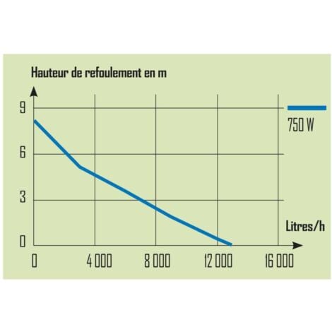 Pompe vide cave Pro inox 750 W (Eaux Chargées)