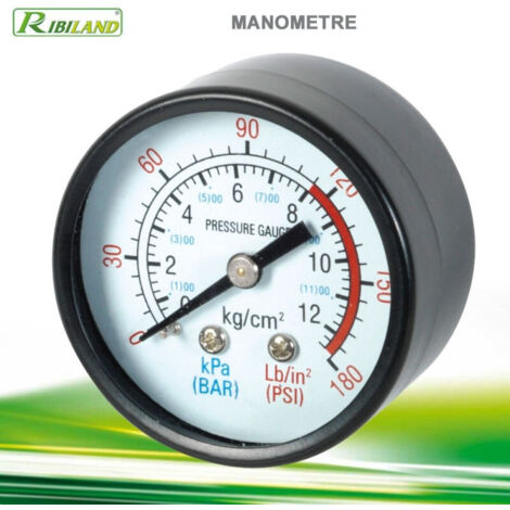 Ribimex – Manomètre 1/4 mâle 0-12 bars – Graduation Bar et PSI – Raccord 8x13 pour pompes à eau et surpresseurs