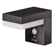 Ribimex – Applique solaire murale Elina avec détecteur – 3 modes d'intensité – Corps inox peint – Classe IP44 – Détection jusqu'à 8 mètres