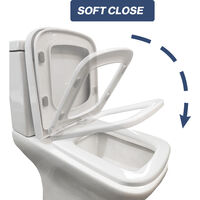 Close Coupled Toilet Rimless Soft Close Seat Ceramic Gloss White Bathroom WC Pan - White