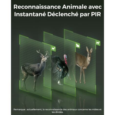 Reolink 4K 8MP 4G LTE Caméra Surveillance sur Batterie Exterieur, 360° Vue, Pan&Tilt, Détection de l'animal, Vision nocturne sans reflet, Audio Bidirectionnel, Carte SD 32 Go, Go Ranger PT+Panneau Sol