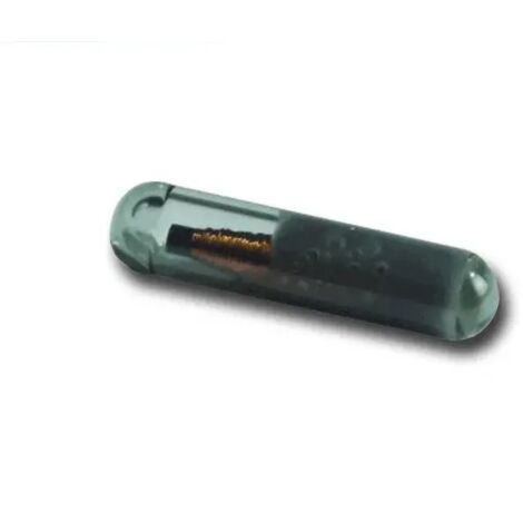 CAME 009TAG Bulbo transponder per TSP01 o alloggiabile in telecomando TAG
