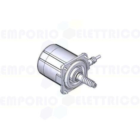 CAME 119RIA061 gruppo motore FROG - ricambio originale