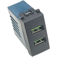 ETTROIT Presa USB Caricatore USB 5V 2,1A 2 Porte USB-A Colore Nero Compatibile Con Vimar Arke
