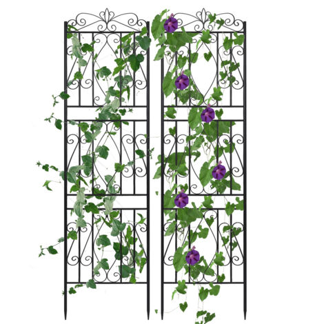 Enrejado de Jardín de 2 Piezas para Plantas Trepadoras