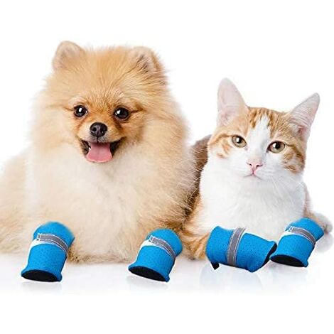 Estándar vestíbulo veredicto 4 piezas de protectores de patas de verano para perros pequeños y medianos  y zapatos para