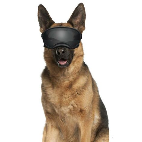 Perro a grande Gafas de Gafas para perros, protección UV Protección contra viento