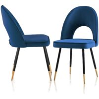 AINPECCA Set Of 2 Dining Chairs Velvet Seat Metal Legs Kitchen Lounge Living Room Chair Home,2pcs Blue