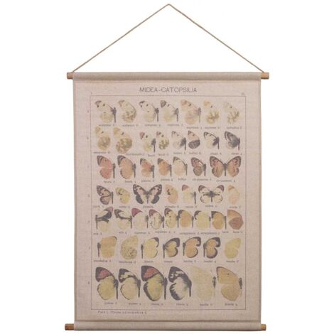 Lienzo pergamino de tela impresa 76x97x2,5 (1/5)