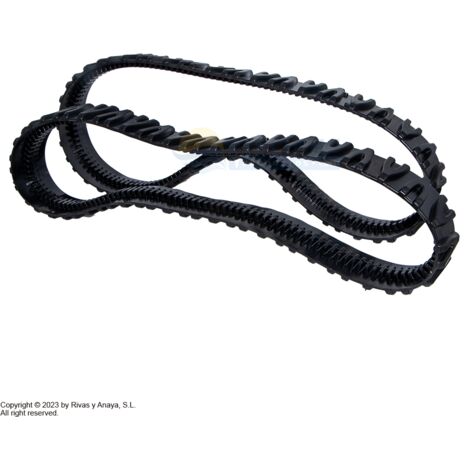 Zodiac Tornax Clean Clea -Gürtel. R0765600